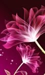 pic for Drawing Flowers Lotus 768x1280